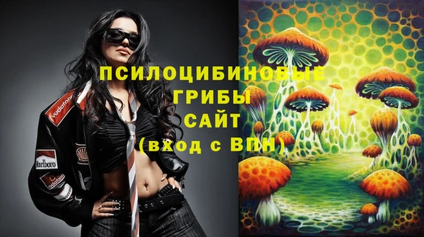 2c-b Верея
