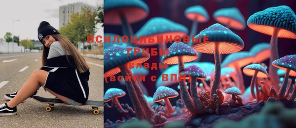 сатива Верхнеуральск