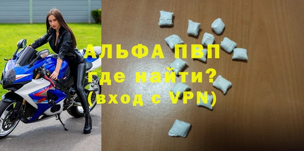 СК Бронницы